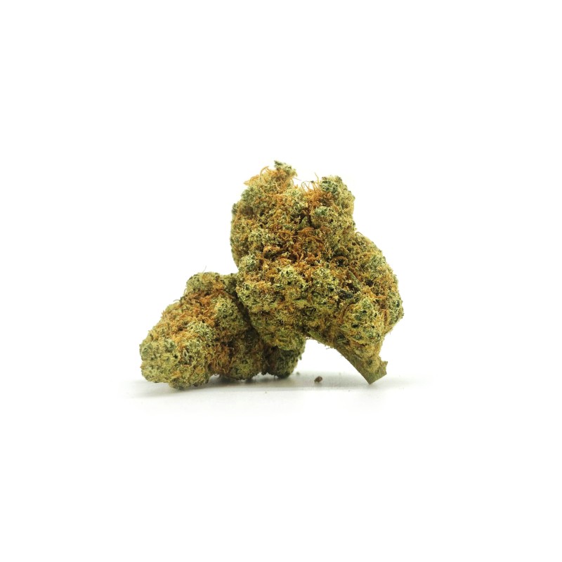 Gorilla Mandarine