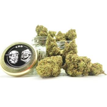 Super Silver Haze