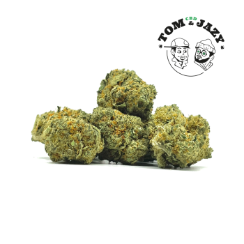 Gelato Cali