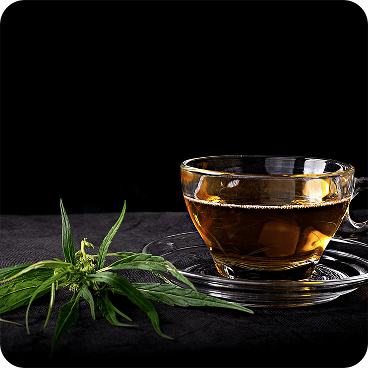 Infusions